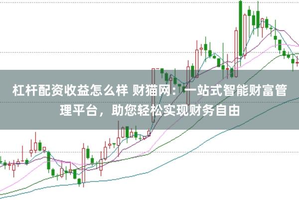 杠杆配资收益怎么样 财猫网：一站式智能财富管理平台，助您轻松实现财务自由