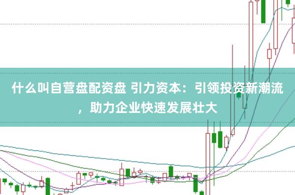 什么叫自营盘配资盘 引力资本：引领投资新潮流，助力企业快速发展壮大