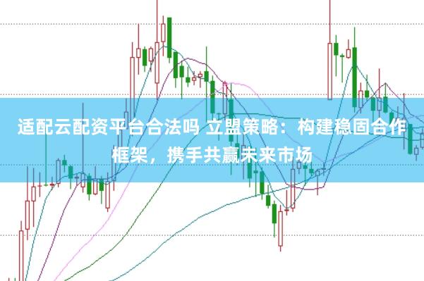 适配云配资平台合法吗 立盟策略：构建稳固合作框架，携手共赢未来市场