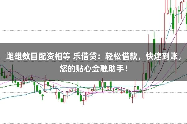 雌雄数目配资相等 乐借贷：轻松借款，快速到账，您的贴心金融助手！