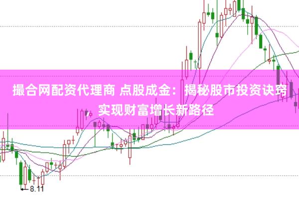 撮合网配资代理商 点股成金：揭秘股市投资诀窍，实现财富增长新路径