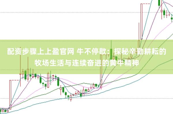 配资步骤上上盈官网 牛不停歇：探秘辛勤耕耘的牧场生活与连续奋进的黄牛精神