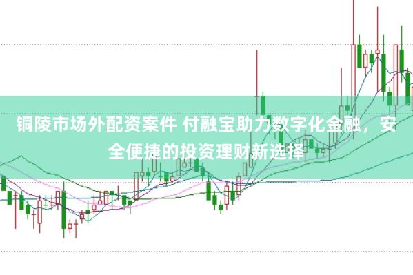 铜陵市场外配资案件 付融宝助力数字化金融，安全便捷的投资理财新选择