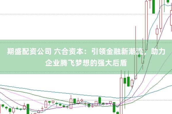 期盛配资公司 六合资本：引领金融新潮流，助力企业腾飞梦想的强大后盾