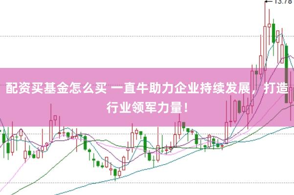 配资买基金怎么买 一直牛助力企业持续发展，打造行业领军力量！