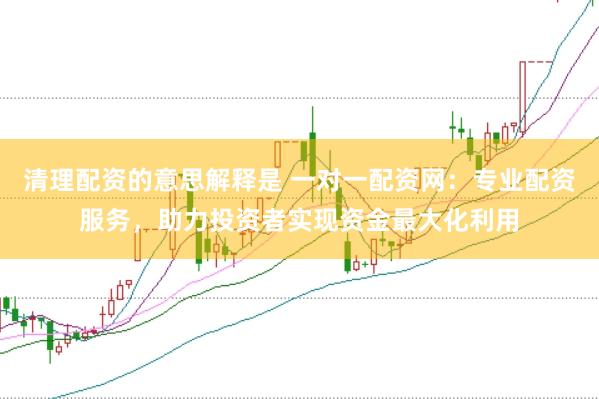 清理配资的意思解释是 一对一配资网：专业配资服务，助力投资者实现资金最大化利用