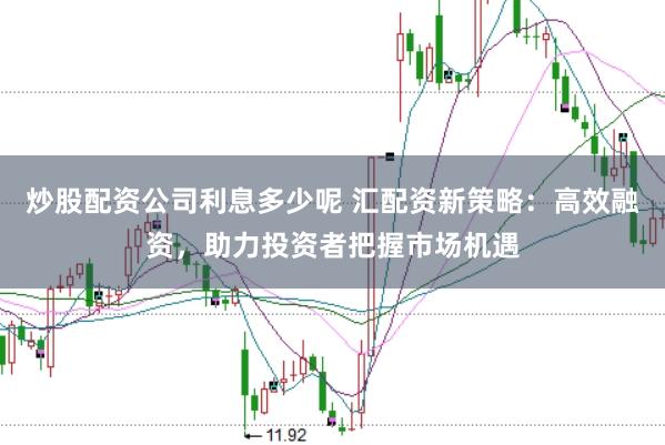 炒股配资公司利息多少呢 汇配资新策略：高效融资，助力投资者把握市场机遇