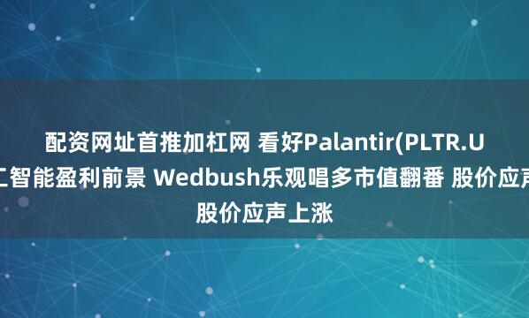 配资网址首推加杠网 看好Palantir(PLTR.US)人工智能盈利前景 Wedbush乐观唱多市值翻番 股价应声上涨
