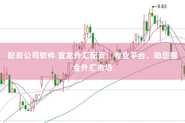 配资公司软件 宜龙外汇配资：专业平台，助您掘金外汇市场