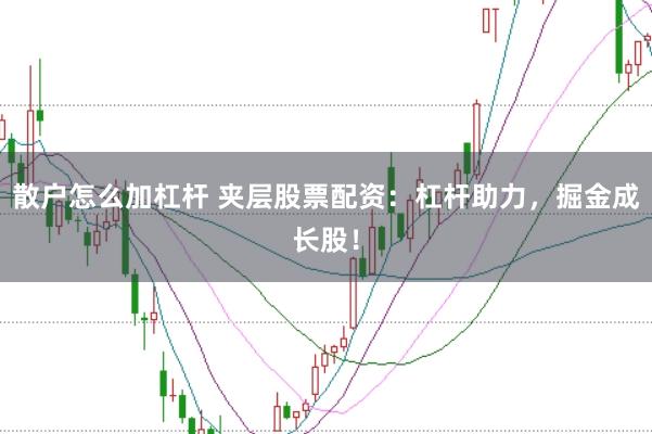 散户怎么加杠杆 夹层股票配资：杠杆助力，掘金成长股！