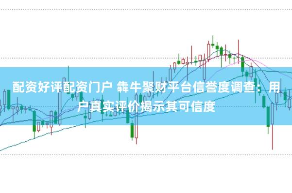 配资好评配资门户 犇牛聚财平台信誉度调查：用户真实评价揭示其可信度