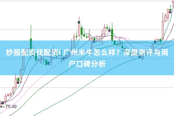 炒股配资找配资i 广州米牛怎么样？深度测评与用户口碑分析