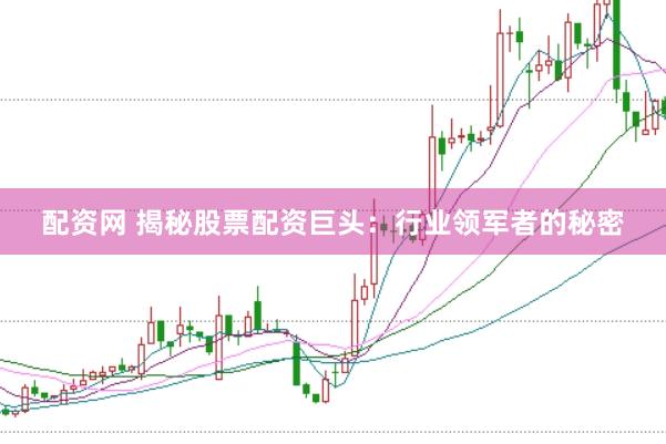 配资网 揭秘股票配资巨头：行业领军者的秘密