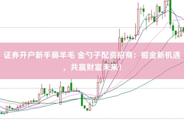 证券开户新手薅羊毛 金勺子配资招商：掘金新机遇，共赢财富未来！