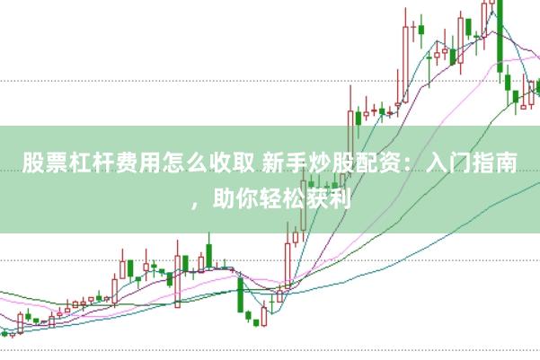 股票杠杆费用怎么收取 新手炒股配资：入门指南，助你轻松获利
