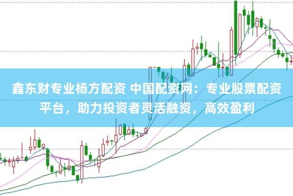 鑫东财专业杨方配资 中国配资网：专业股票配资平台，助力投资者灵活融资，高效盈利